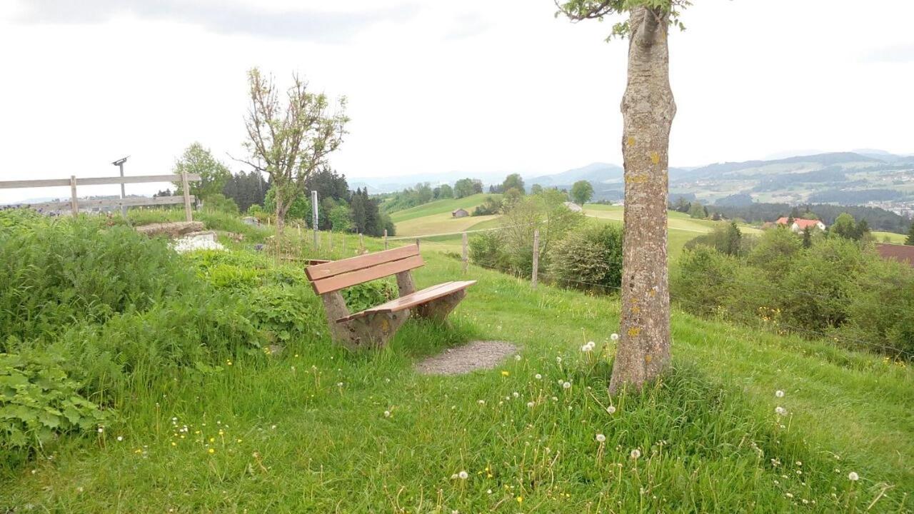 Rosenalm App 23 Scheidegg